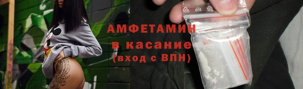 прущие грибы Бронницы