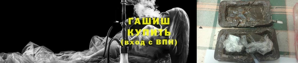 прущие грибы Бронницы