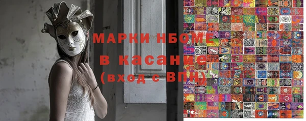 гашик Богородск