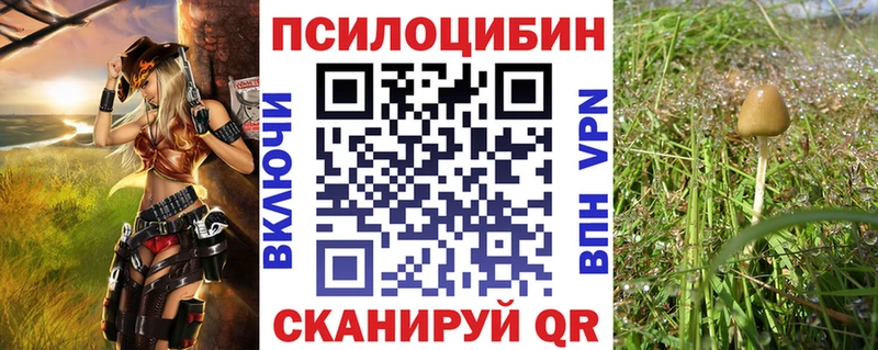 shop как зайти  Лысково  Псилоцибиновые грибы MAGIC MUSHROOMS 
