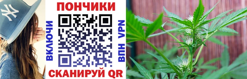 Шишки марихуана план  дарнет шоп  Лысково 